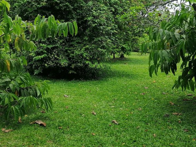 Lote en venta en Cerritos, Pereira, 7000 m² · foto 3 de 17