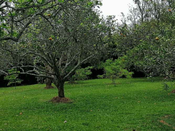 Lote en venta en Cerritos, Pereira, 7000 m² · foto 4 de 17