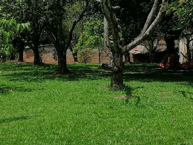 Lote en venta en Cerritos, Pereira, 7000 m² · foto 6 de 17