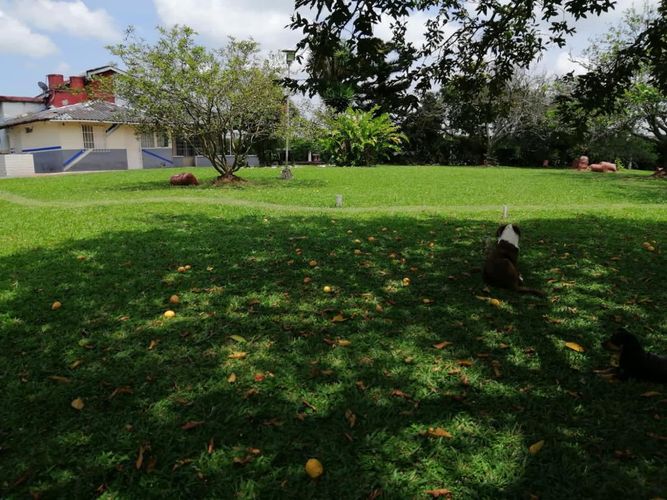 Lote en venta en Cerritos, Pereira, 7000 m² · foto 7 de 17