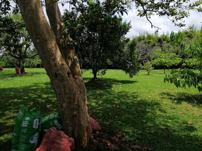 Lote en venta en Cerritos, Pereira, 7000 m² · foto 10 de 17
