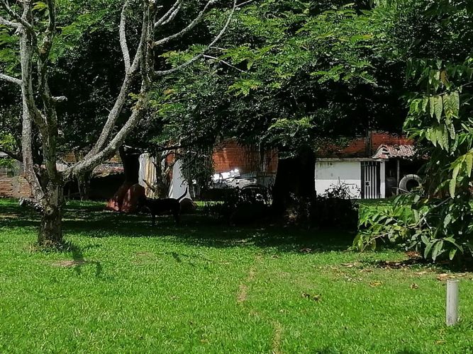 Lote en venta en Cerritos, Pereira, 7000 m² · foto 17 de 17