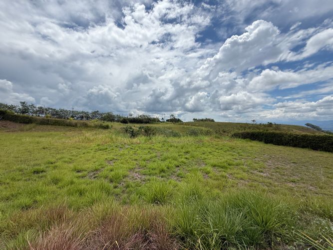 Lote en venta en Cerritos, Pereira · foto 3 de 10