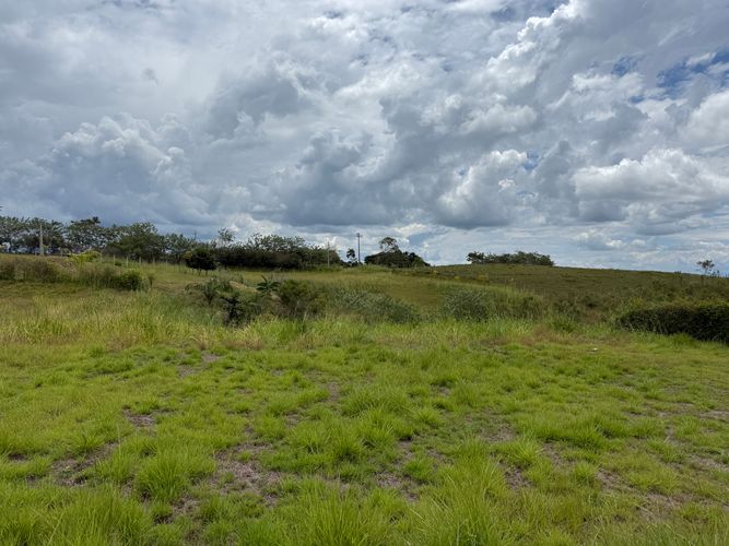Lote en venta en Cerritos, Pereira · foto 4 de 10