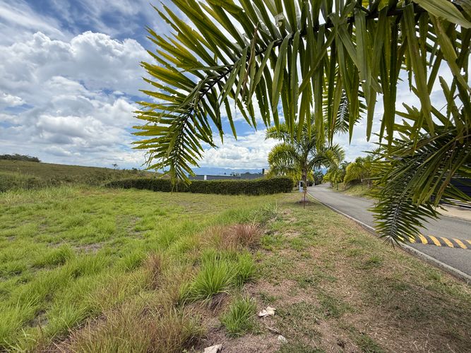 Lote en venta en Cerritos, Pereira · foto 7 de 10