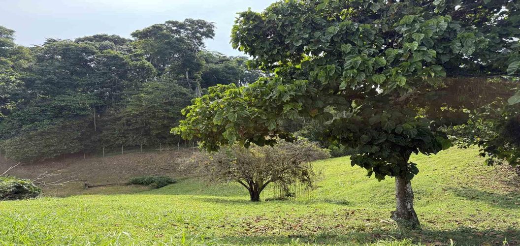Lote en venta en Cerritos, Pereira · foto 2 de 10