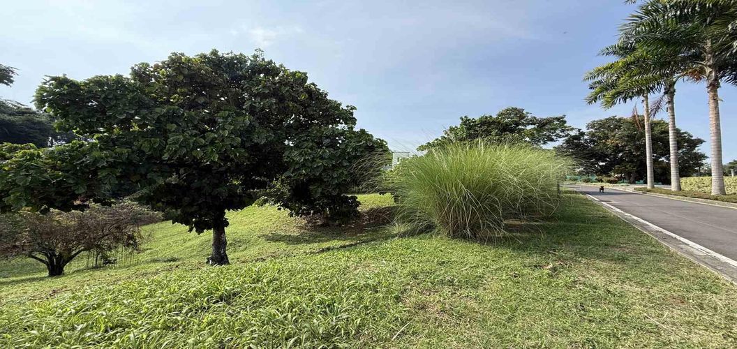 Lote en venta en Cerritos, Pereira · foto 3 de 10