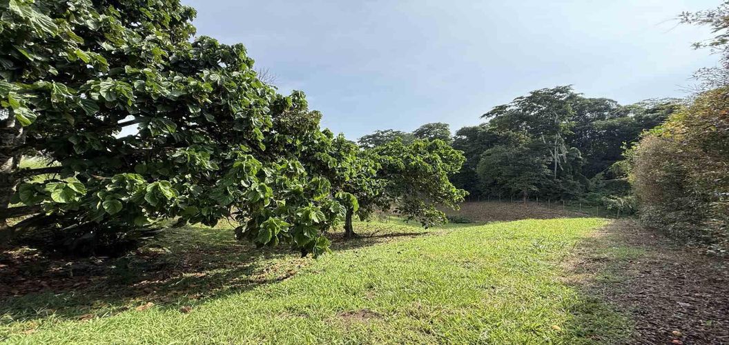 Lote en venta en Cerritos, Pereira · foto 5 de 10