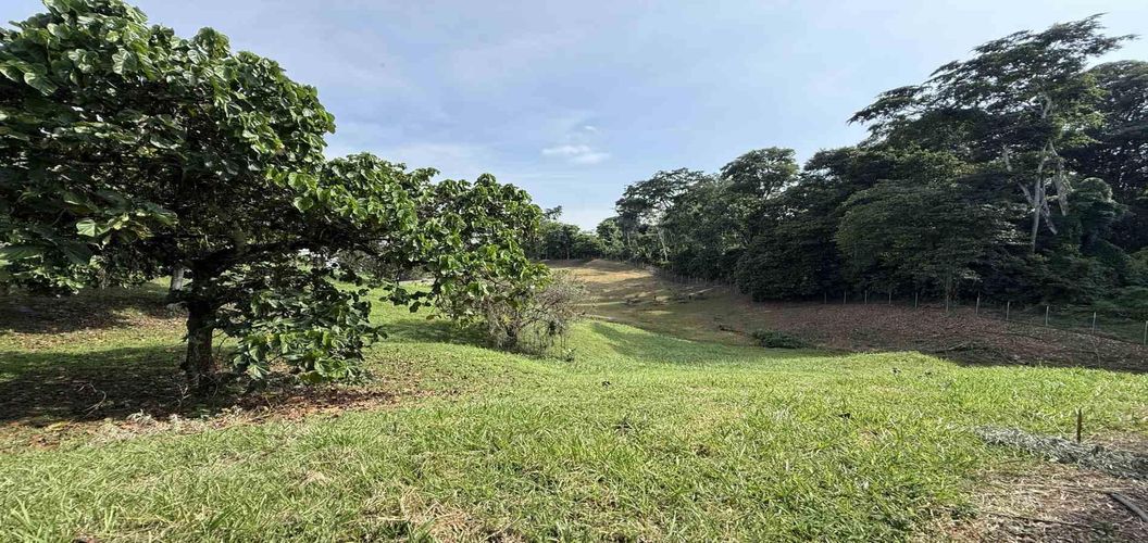 Lote en venta en Cerritos, Pereira · foto 7 de 10