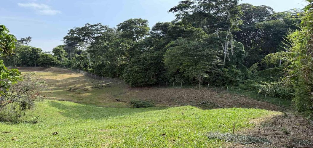 Lote en venta en Cerritos, Pereira · foto 8 de 10