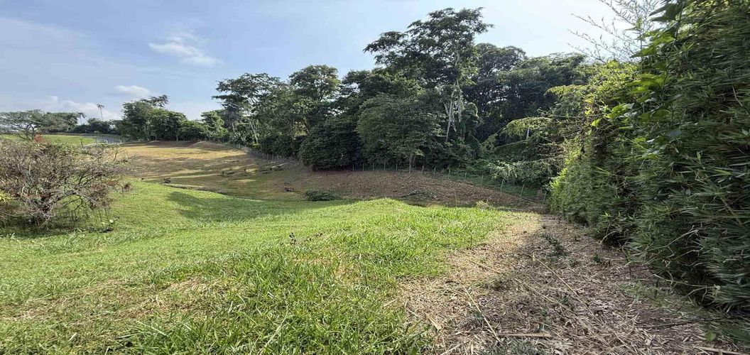 Lote en venta en Cerritos, Pereira · foto 9 de 10