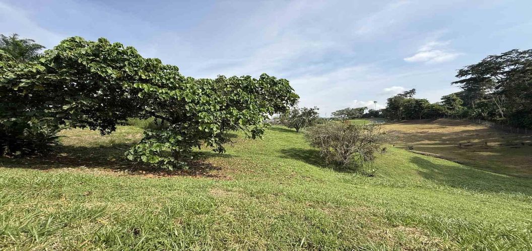 Lote en venta en Cerritos, Pereira · foto 10 de 10