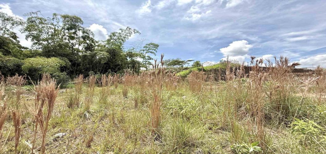 Lote en venta en La Pradera, Dosquebradas, 1039 m² · foto 2 de 13