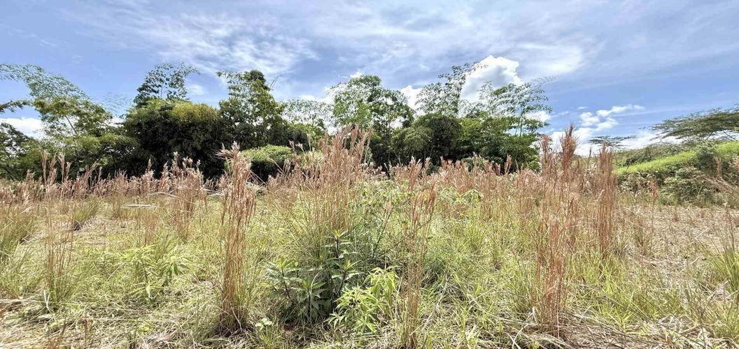 Lote en venta en La Pradera, Dosquebradas, 1039 m² · foto 3 de 13
