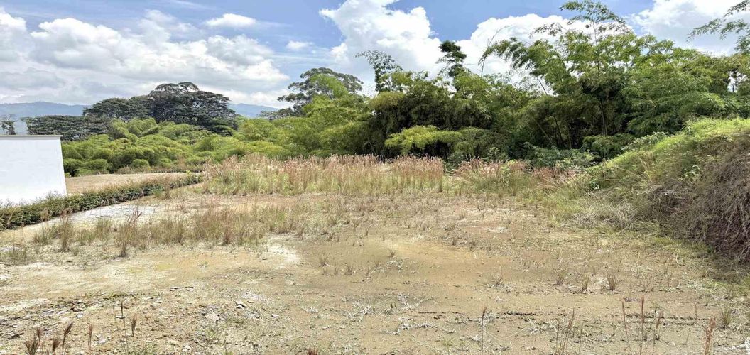 Lote en venta en La Pradera, Dosquebradas, 1039 m² · foto 11 de 13