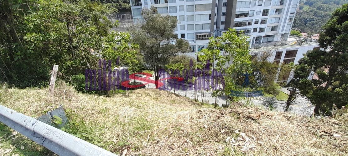 Lote en venta en El Trebol, Manizales, 16000 m² · foto 3 de 7