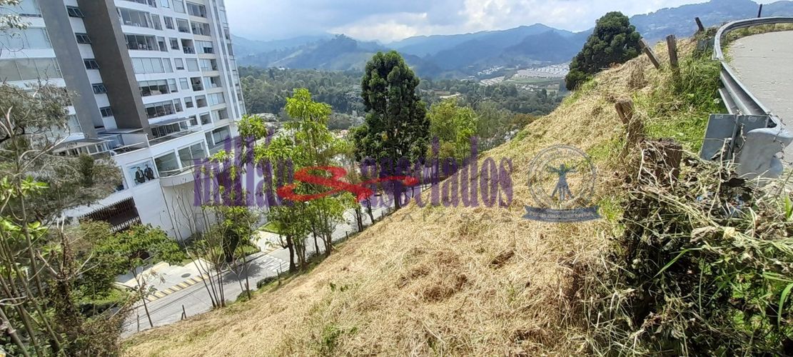 Lote en venta en El Trebol, Manizales, 16000 m² · foto 4 de 7