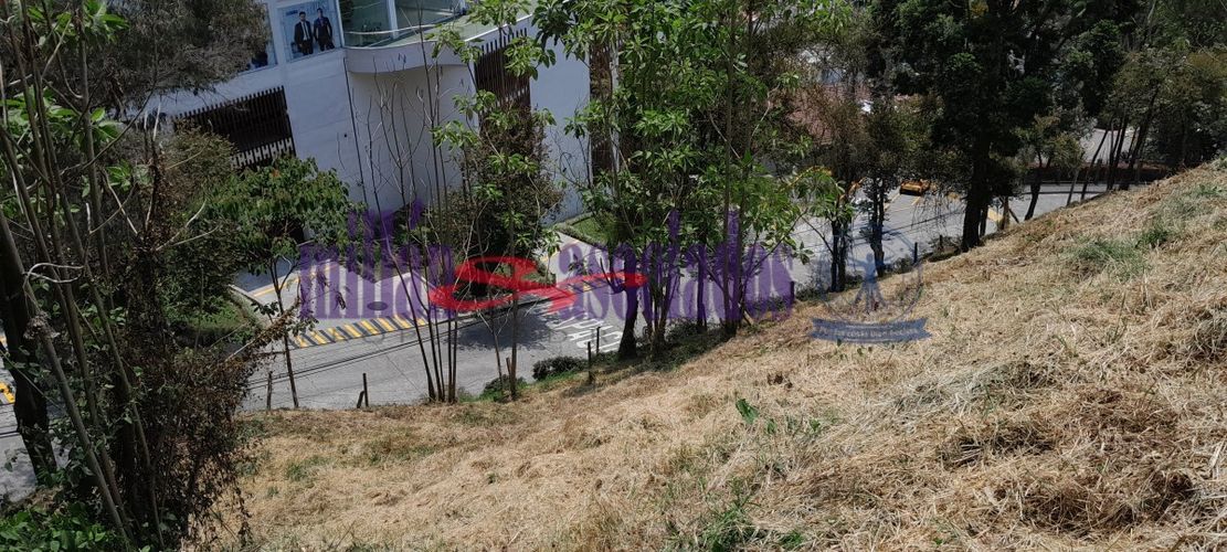 Lote en venta en El Trebol, Manizales, 16000 m² · foto 5 de 7