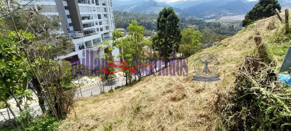 Lote en venta en El Trebol, Manizales, 16000 m² · foto 7 de 7