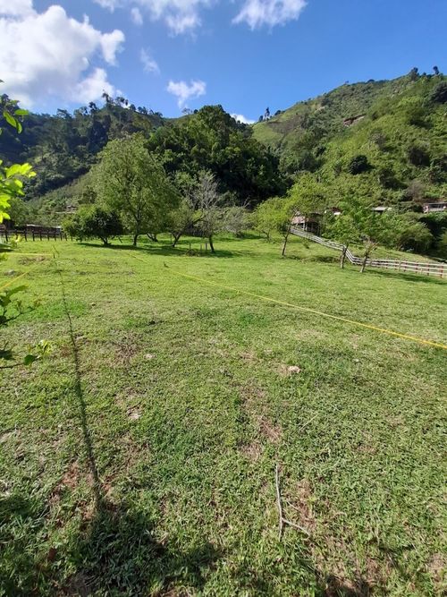Lote en venta en La Linda, Manizales, 1780 m² · foto 4 de 9