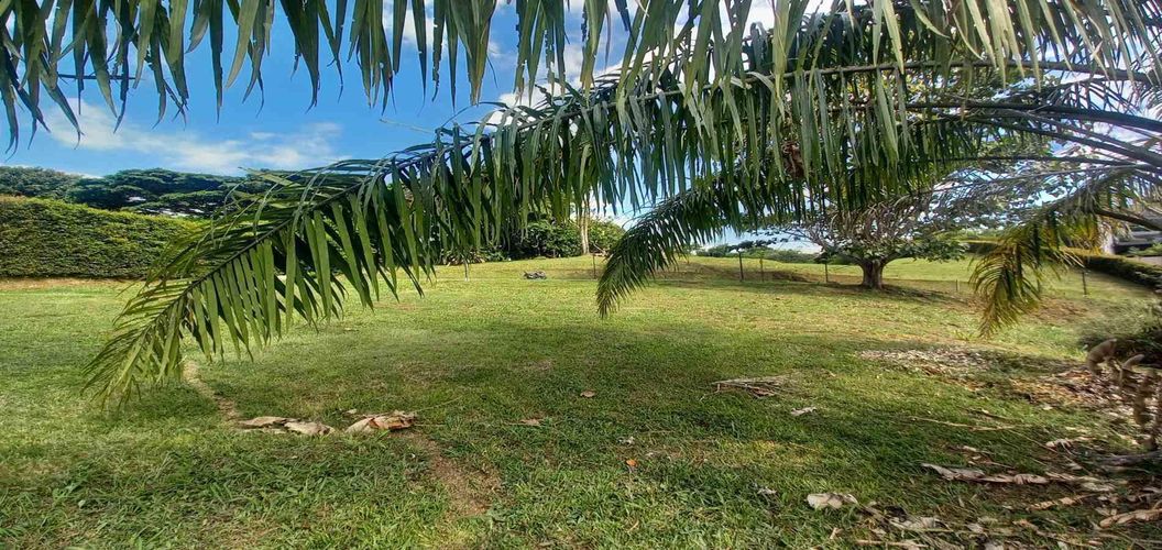 Lote en venta en Cerritos, Pereira · foto 7 de 11