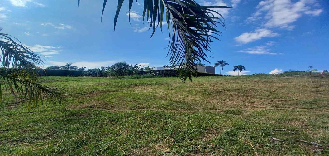 Lote en venta en Cerritos, Pereira · foto 8 de 11