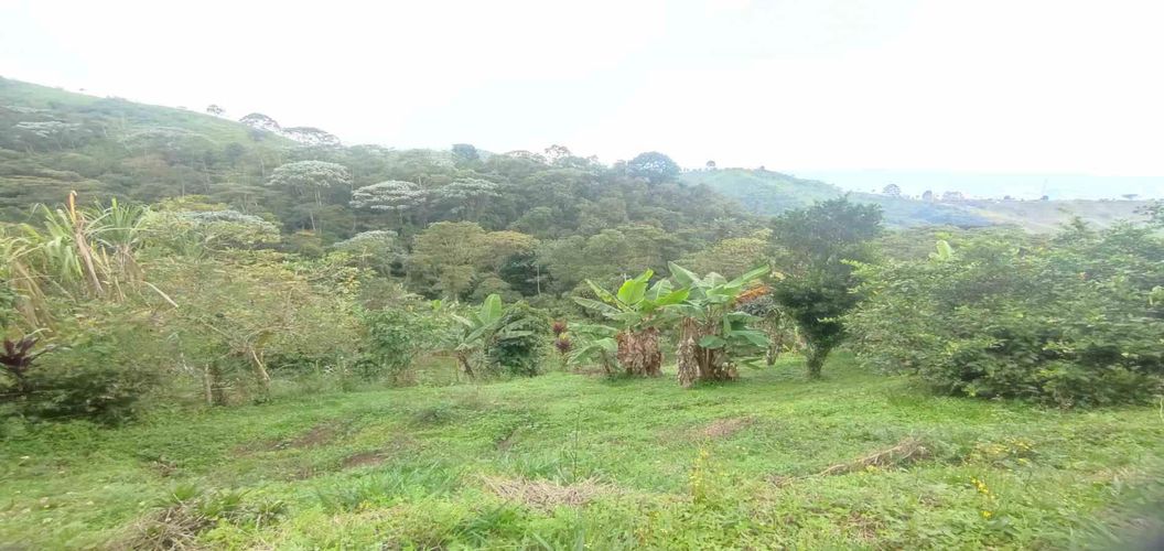 Finca en venta en Sabanitas, Dosquebradas, 175 m² · foto 3 de 18