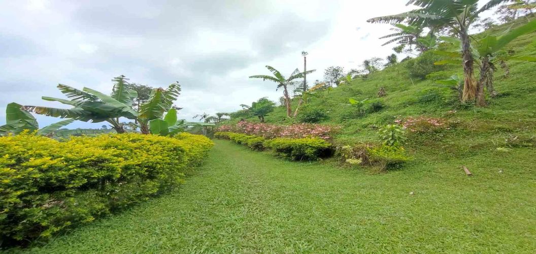 Finca en venta en Sabanitas, Dosquebradas, 175 m² · foto 4 de 18
