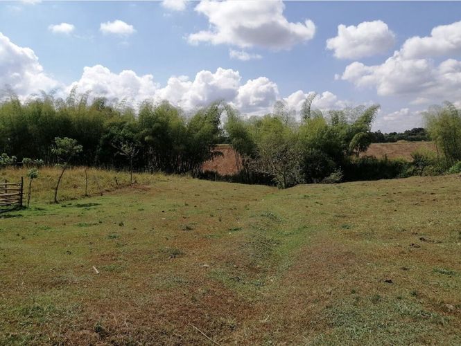 Lote en venta en Cerritos, Pereira, 2000 m² · foto 3 de 15