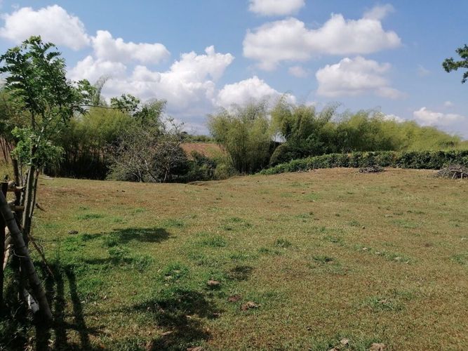 Lote en venta en Cerritos, Pereira, 2000 m² · foto 4 de 15