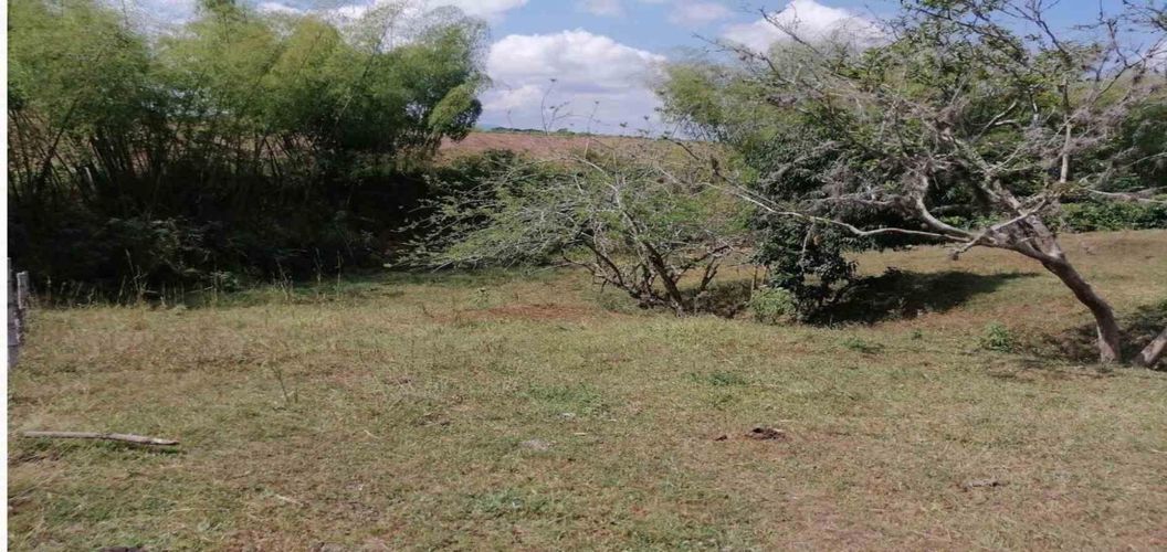 Lote en venta en Cerritos, Pereira, 2000 m² · foto 5 de 15