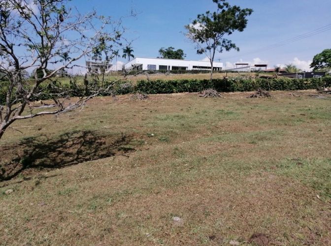 Lote en venta en Cerritos, Pereira, 2000 m² · foto 6 de 15