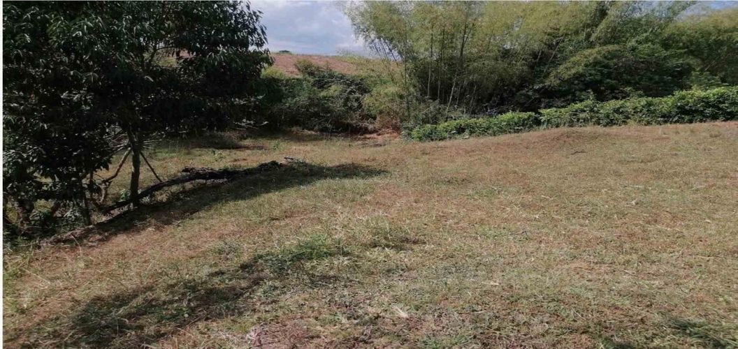 Lote en venta en Cerritos, Pereira, 2000 m² · foto 8 de 15