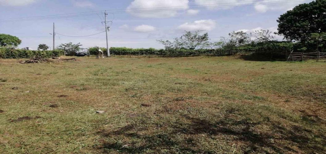 Lote en venta en Cerritos, Pereira, 2000 m² · foto 9 de 15