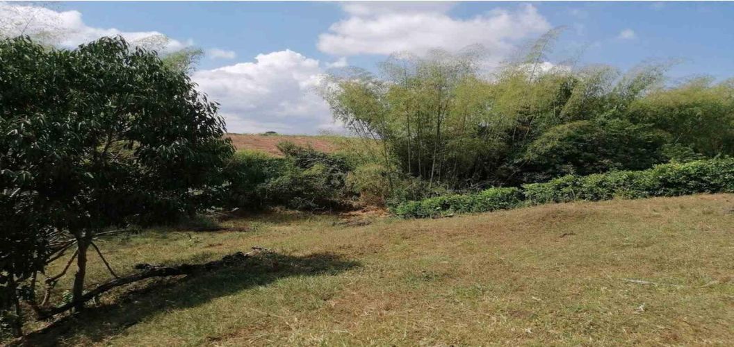 Lote en venta en Cerritos, Pereira, 2000 m² · foto 11 de 15