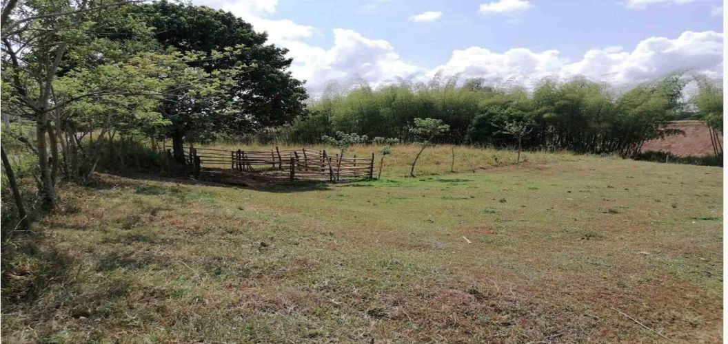 Lote en venta en Cerritos, Pereira, 2000 m² · foto 15 de 15