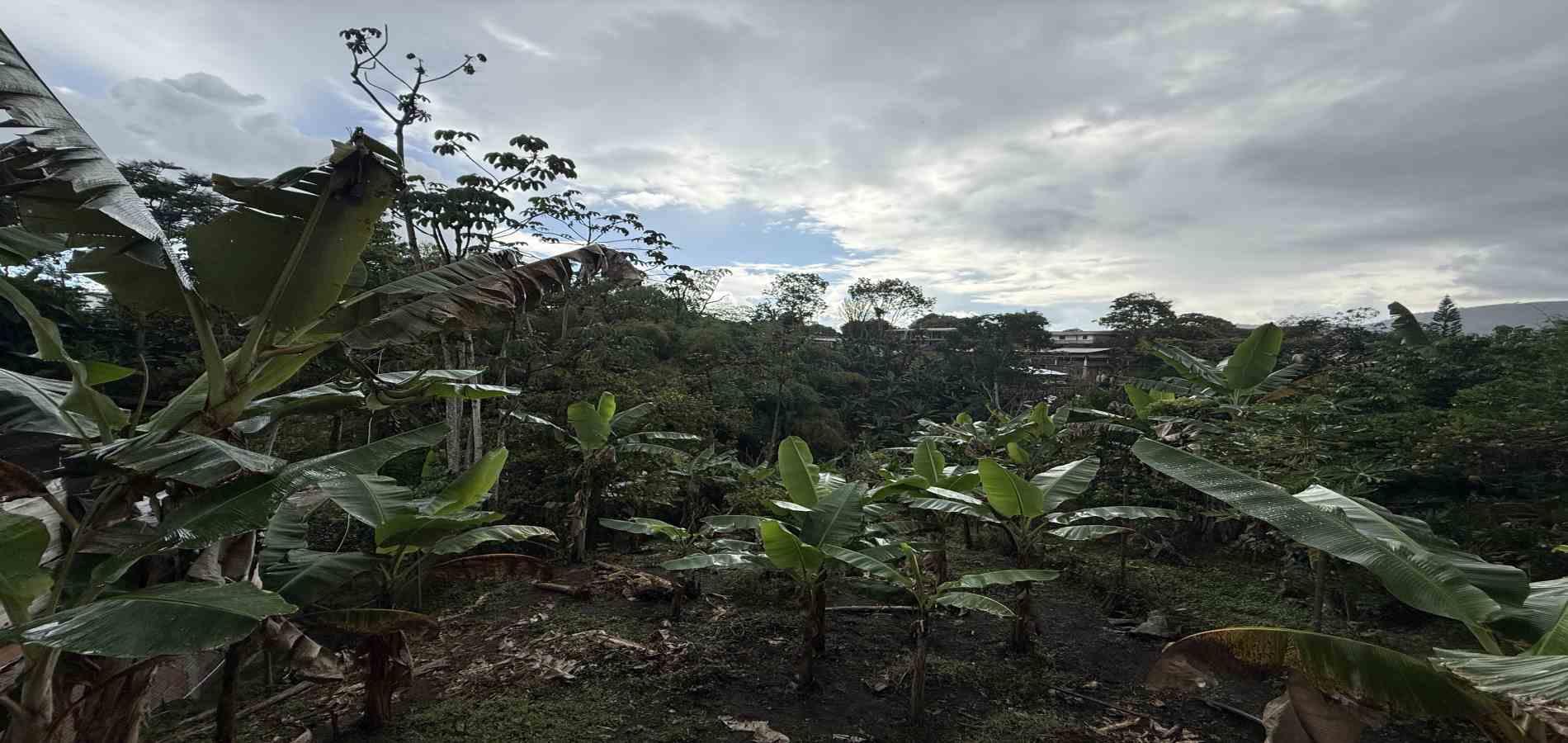 Casa en venta en Combia, Pereira · foto 13 de 19