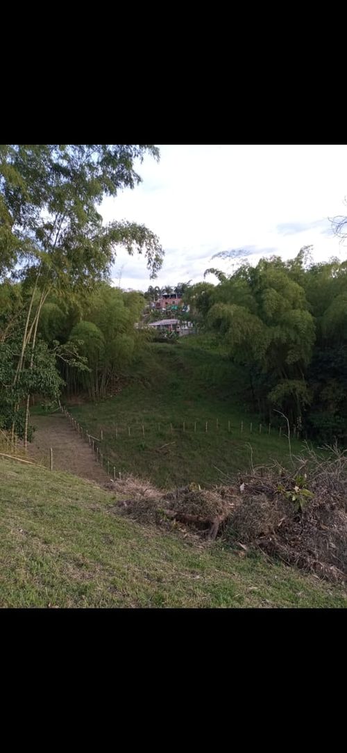 Lote en venta en Arabia, Pereira · foto 2 de 4