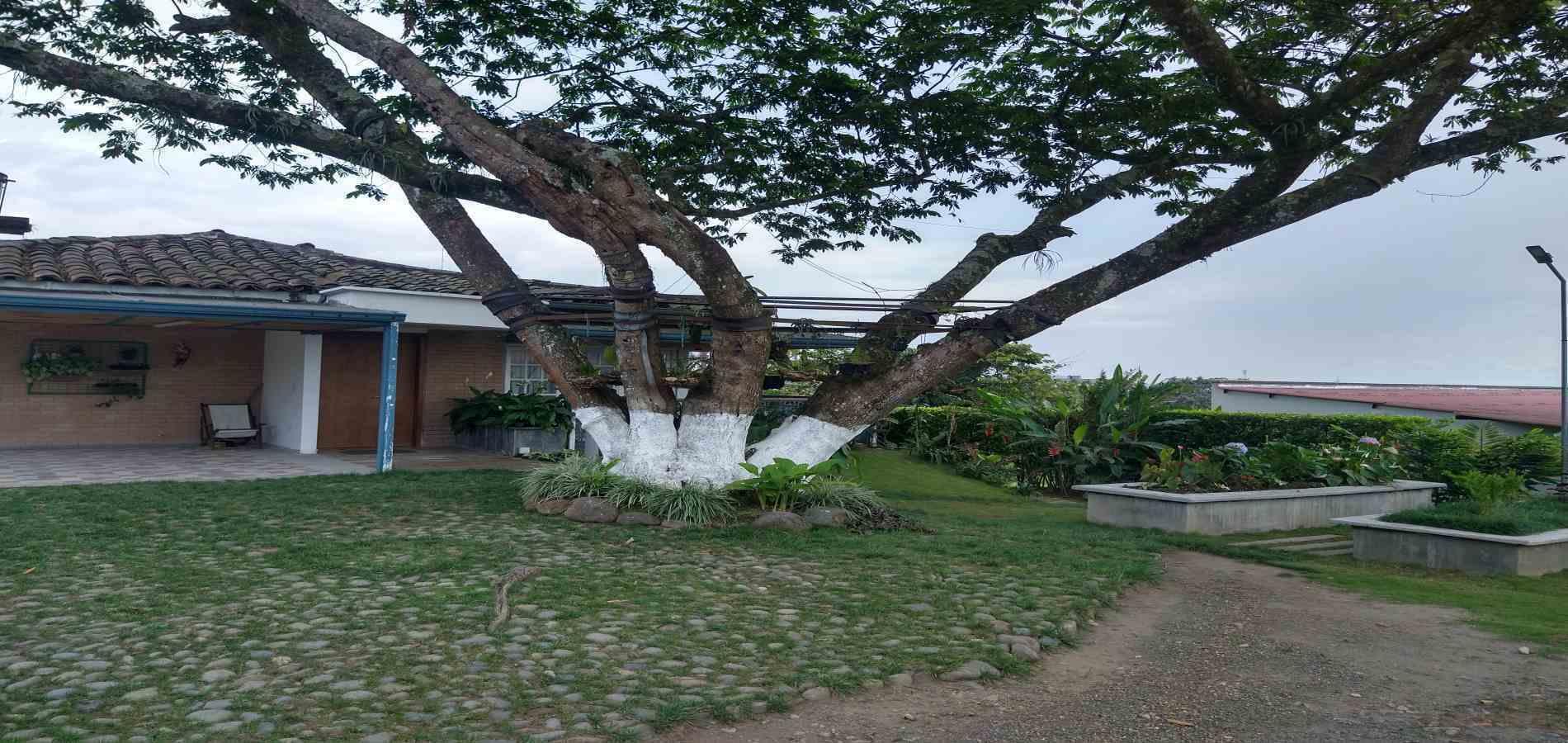 Casa en venta en La Pradera, Dosquebradas · foto 9 de 24