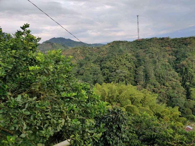 Finca en venta en Campestre A, Dosquebradas, 30 m² · foto 3 de 16