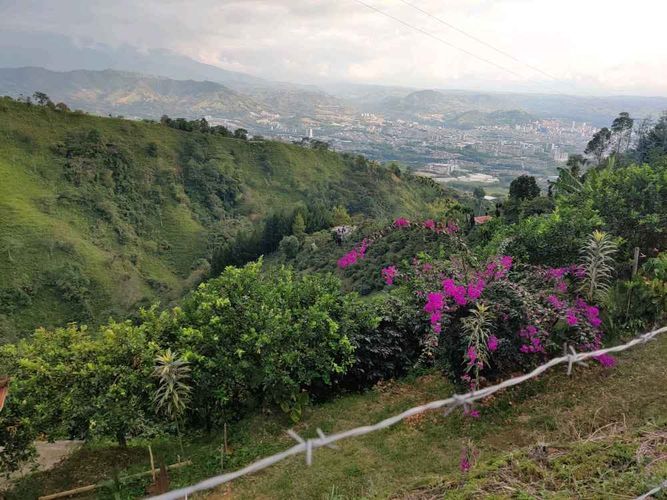 Finca en venta en Campestre A, Dosquebradas, 30 m² · foto 13 de 16