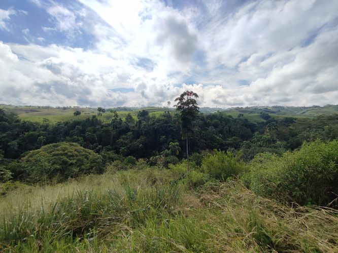 Lote en venta en Cerritos, Pereira · foto 2 de 13