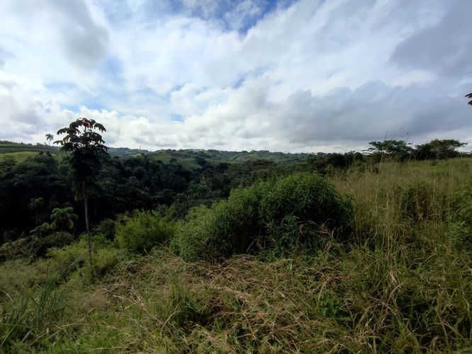 Lote en venta en Cerritos, Pereira · foto 3 de 13