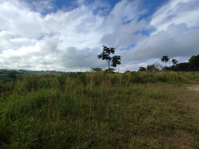 Lote en venta en Cerritos, Pereira · foto 4 de 13