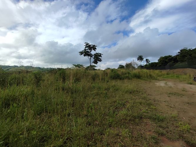 Lote en venta en Cerritos, Pereira · foto 5 de 13