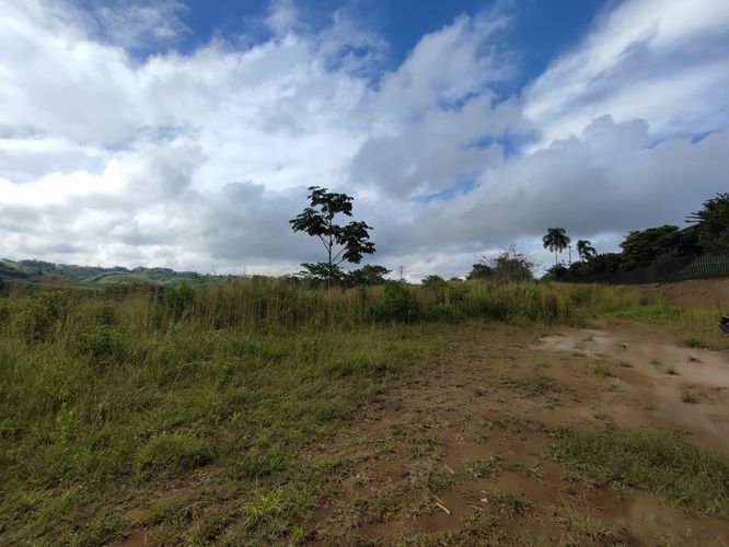 Lote en venta en Cerritos, Pereira · foto 6 de 13