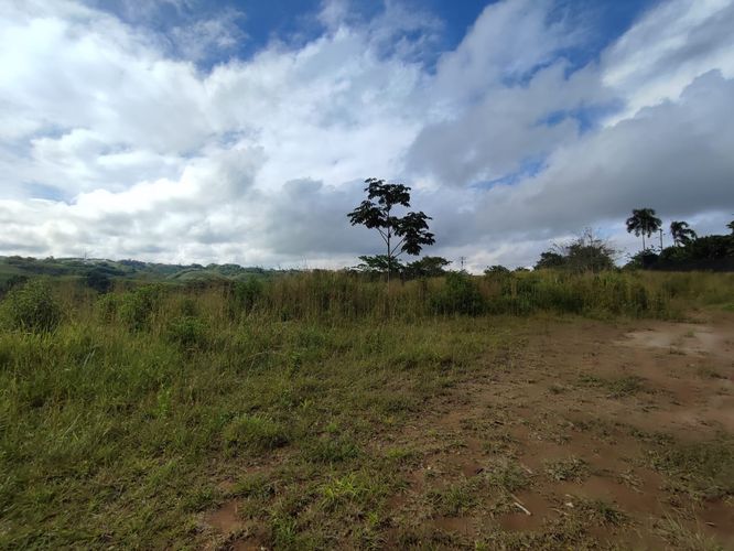 Lote en venta en Cerritos, Pereira · foto 7 de 13