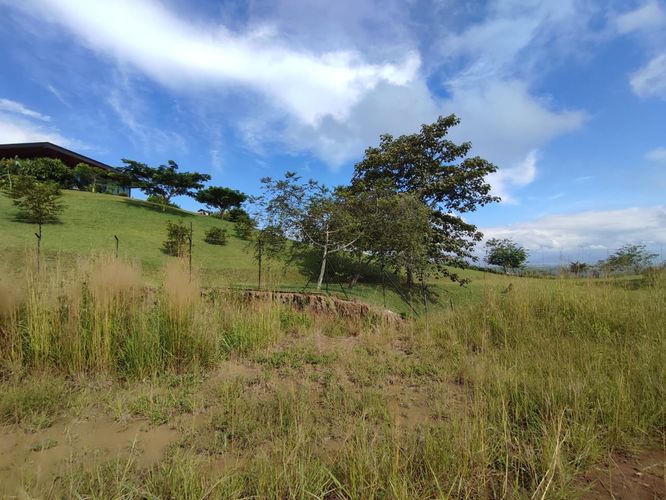 Lote en venta en Cerritos, Pereira · foto 8 de 13