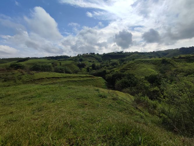Lote en venta en Cerritos, Pereira · foto 12 de 13