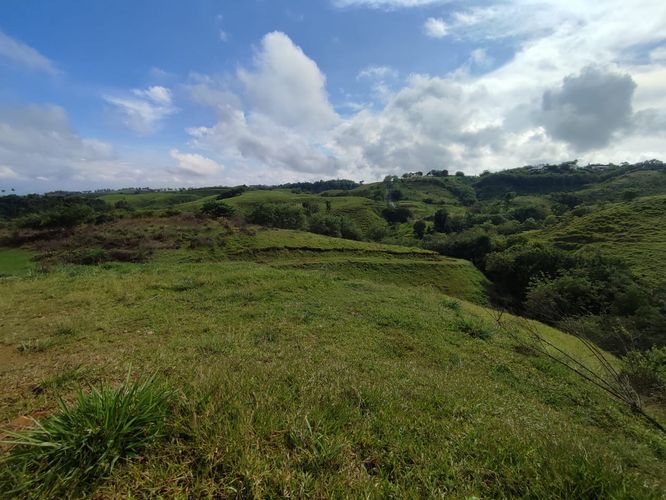 Lote en venta en Cerritos, Pereira · foto 13 de 13